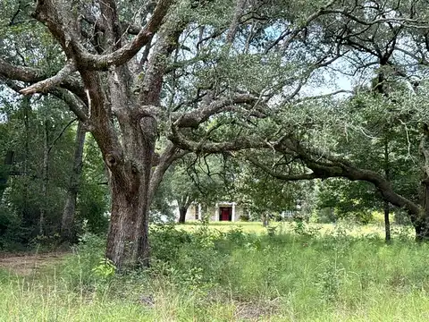 Road 126, VANCLEAVE, MS 39565