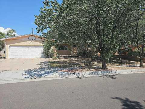 Christine, ALBUQUERQUE, NM 87111