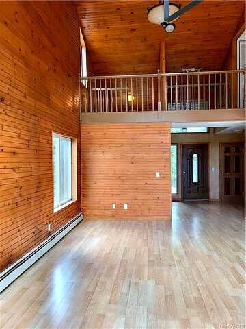 Laymon, SWAN LAKE, NY 12783