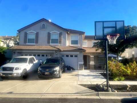 Pinenut, OAKLEY, CA 94561