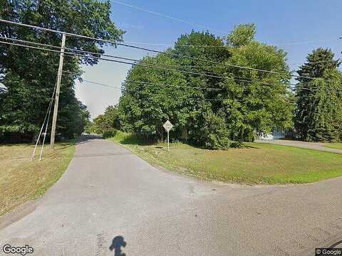 Pine Tree, SHORTSVILLE, NY 14548