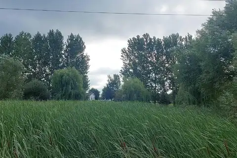 Raspberry, PINE CITY, MN 55063