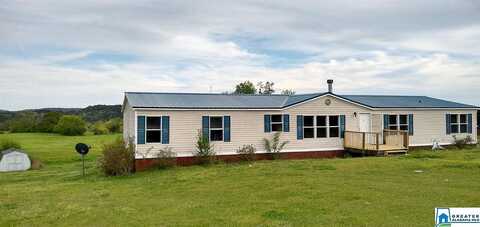 Hawk, BLOUNTSVILLE, AL 35031