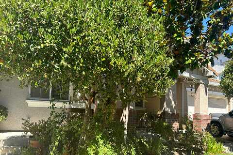 Silver Maple, HERCULES, CA 94547