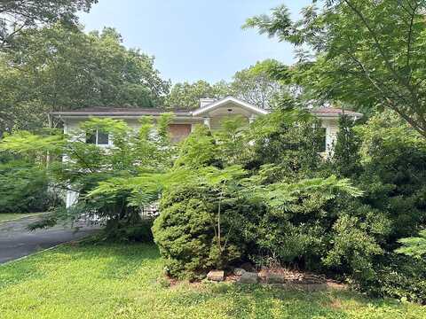 Juniper, RONKONKOMA, NY 11779