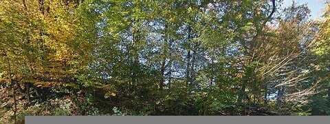 Shumla, CASSADAGA, NY 14718