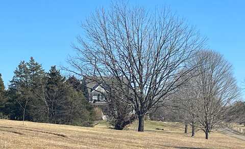 Kingdom, LOUISVILLE, KY 40291