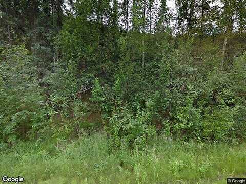 Chena Ester Ditch Rd, Fairbanks, AK 99712
