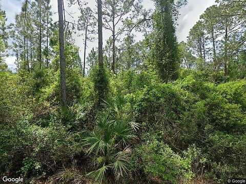 Roebuck Rd, Georgetown, FL 32139