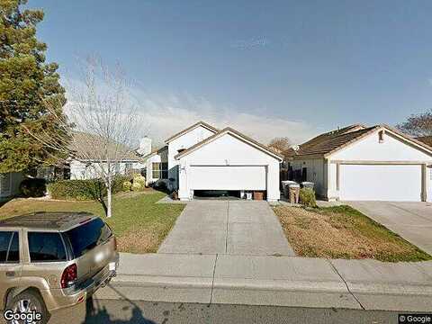 Black Kite, ELK GROVE, CA 95624