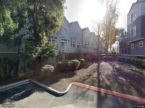 Pinto Palm, SUNNYVALE, CA 94087