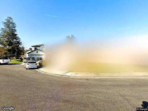 Scotch Pine, BAKERSFIELD, CA 93311