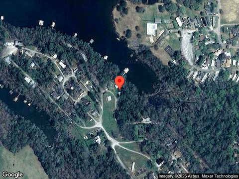 Alligator, GAINESVILLE, GA 30506
