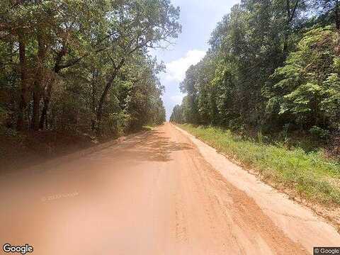 Southland, BUTLER, GA 31006