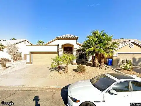 White Aster, PHOENIX, AZ 85044