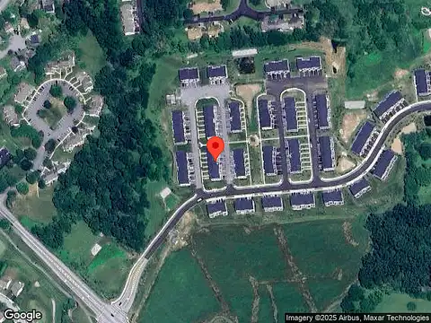 Sugar Maple, DOWNINGTOWN, PA 19335