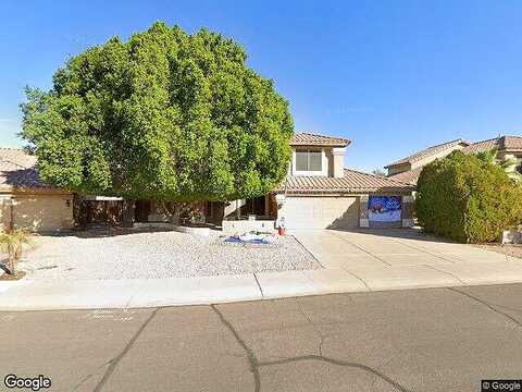 Quail, GILBERT, AZ 85233