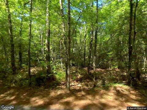 Blues Reach, TOWNSEND, GA 31331