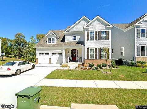 Daylily, STAFFORD, VA 22554
