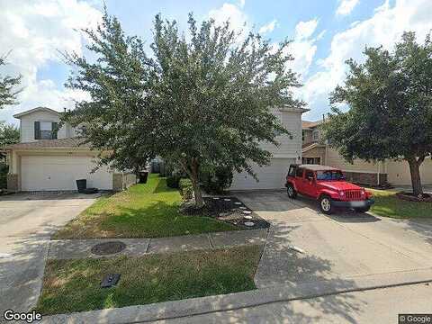 Flying Geese, TOMBALL, TX 77375