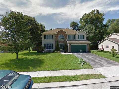 Chinkapin, NEW OXFORD, PA 17350