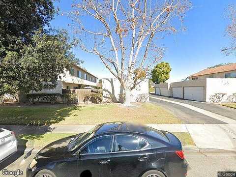 Kelp, OXNARD, CA 93035