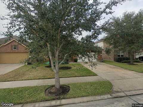 Pale Sage, ROSHARON, TX 77583