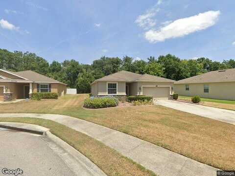 Holly Bluff, PLANT CITY, FL 33566