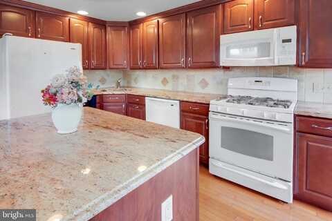 Essex, WOODLYN, PA 19094