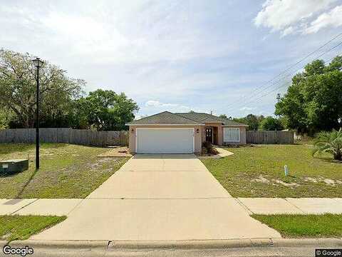 Village, WELAKA, FL 32193