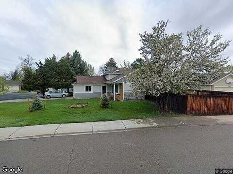 Larkbunting, FORT COLLINS, CO 80526