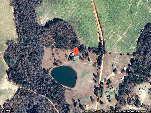 Tulip, GARFIELD, GA 30425