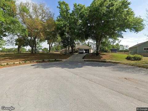 Pine Timber, MONTVERDE, FL 34756