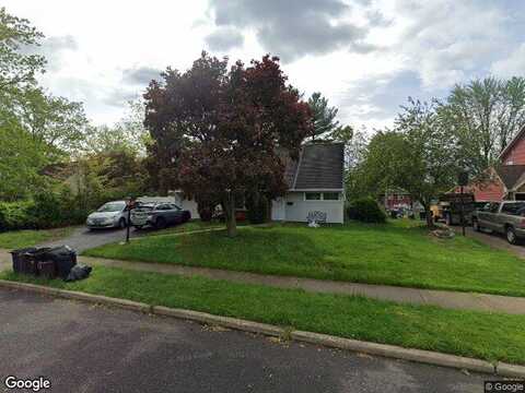 Queen Lily, LEVITTOWN, PA 19057