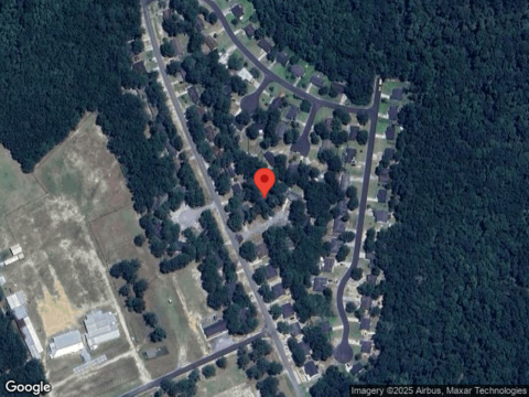 Walnut, SPRINGFIELD, GA 31329