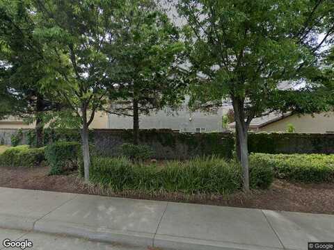Black Bear, ROSEVILLE, CA 95747