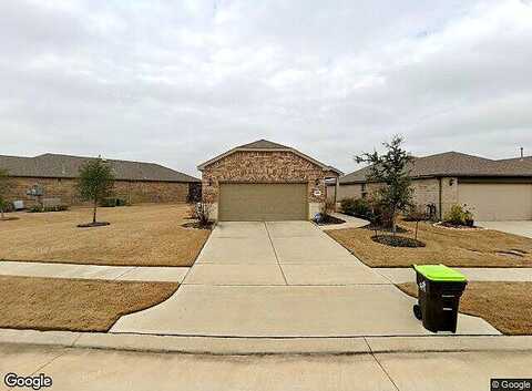 Chimney Swift, RICHMOND, TX 77469