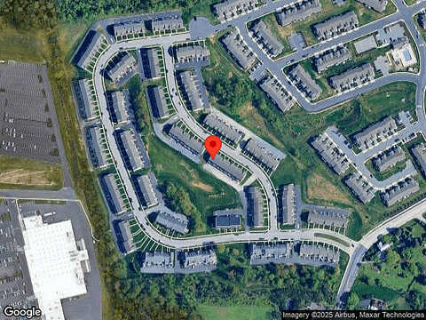 Wild Orchid, ENOLA, PA 17025
