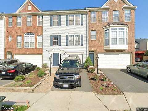 Elm, ALDIE, VA 20105