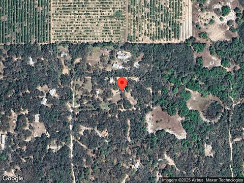 Paw Paw, LAKE WALES, FL 33898