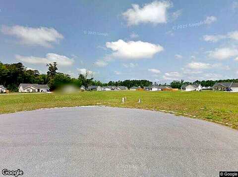 Shetland, GUYTON, GA 31312