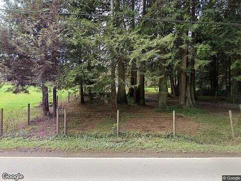 Yew, SNOHOMISH, WA 98296