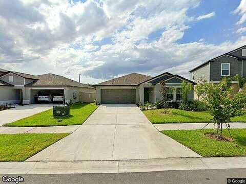 Blazing Star, LAND O LAKES, FL 34637