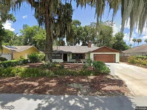 Lime Tree, EDGEWATER, FL 32141