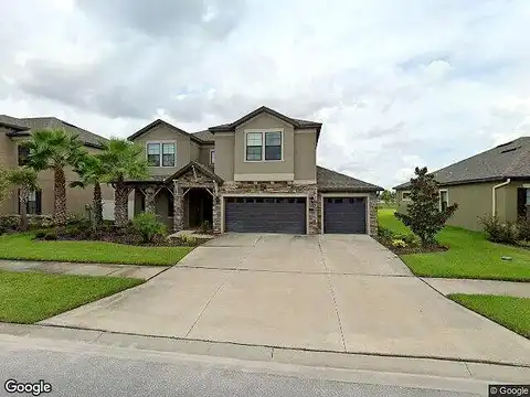 Mistflower, TAMPA, FL 33647