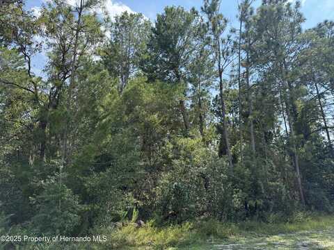 Conyers Street, Spring Hill, FL 34609