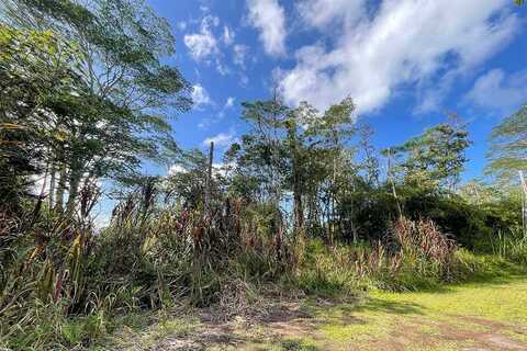 14-3245 MAUNA KEA RD, Pahoa, HI 96778