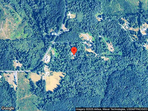 Black Bear, CENTRALIA, WA 98531