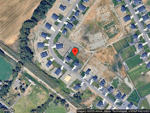 Dapple Gray, ELLENSBURG, WA 98926
