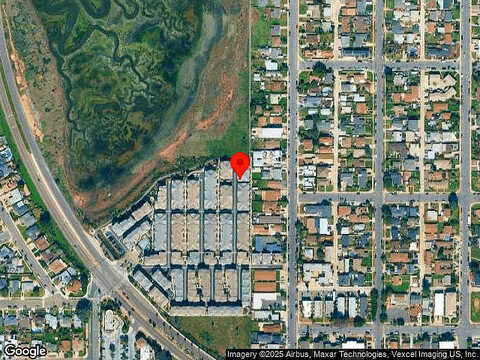 Surfbird, IMPERIAL BEACH, CA 91932